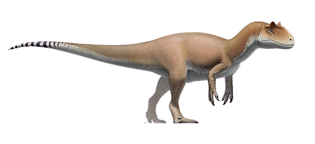 AllosaurusImage