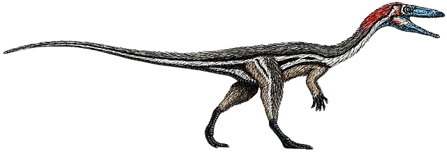 CoelophysisImage