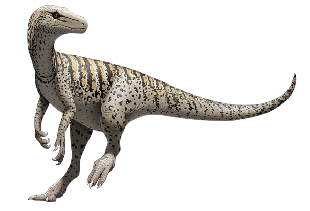 HerrerasaurusImage