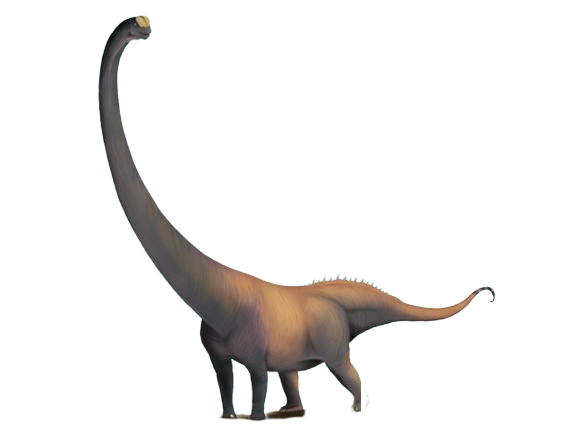 MamenchisaurusImage