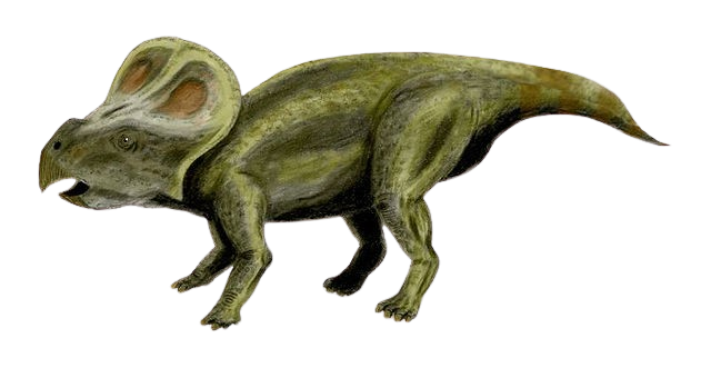 ProtoceratopsImage
