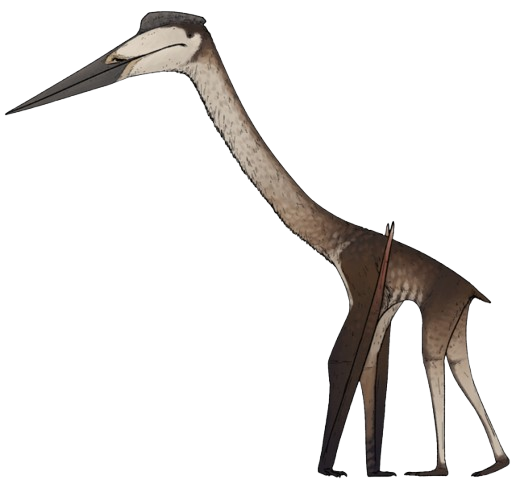 QuetzalcoatlusImage