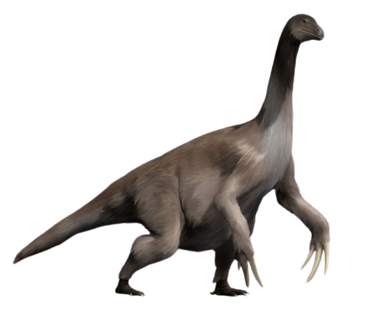 TherizinosaurusImage